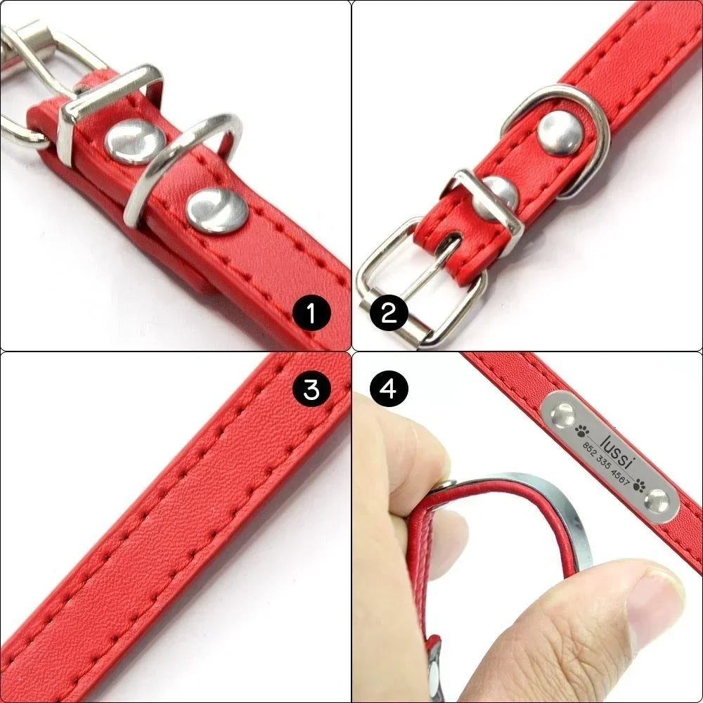 custom dog collar with name