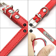 custom dog collar with name