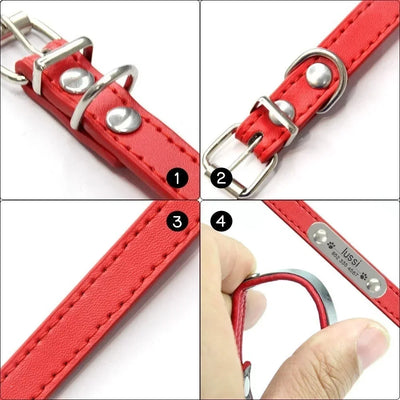 custom dog collar with name