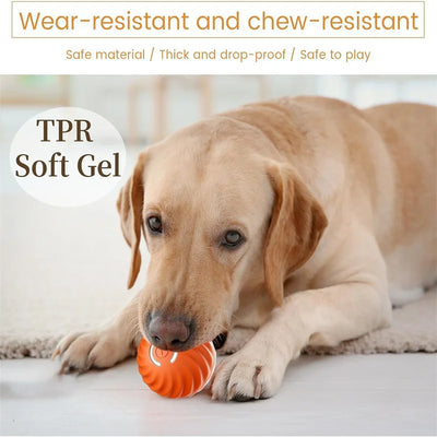 interactive electronic dog toy ball