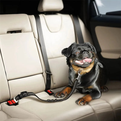 Reflective Dog Car Seat Belt