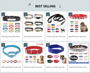 custom dog collar with name