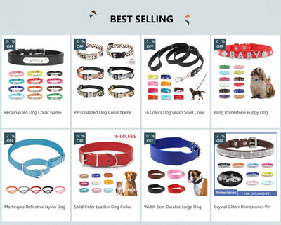 custom dog collar with name