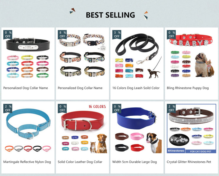 custom dog collar with name