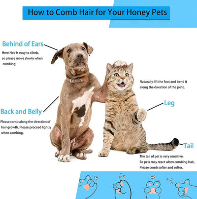 Pet Grooming Brush