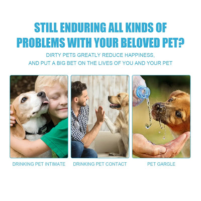 pet toothpaste for cats and dogs