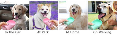 Leakproof Portable Pet Water Bottle