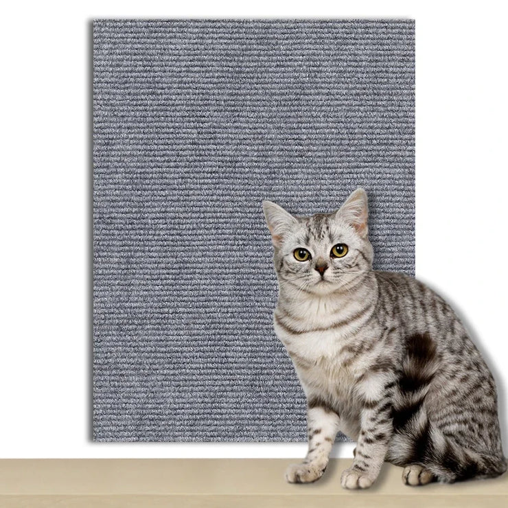 Cat Scratch Pad