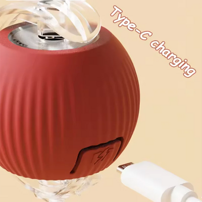 interactive moving cat ball