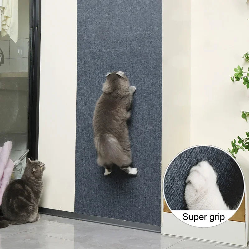 Cat Scratch Pad