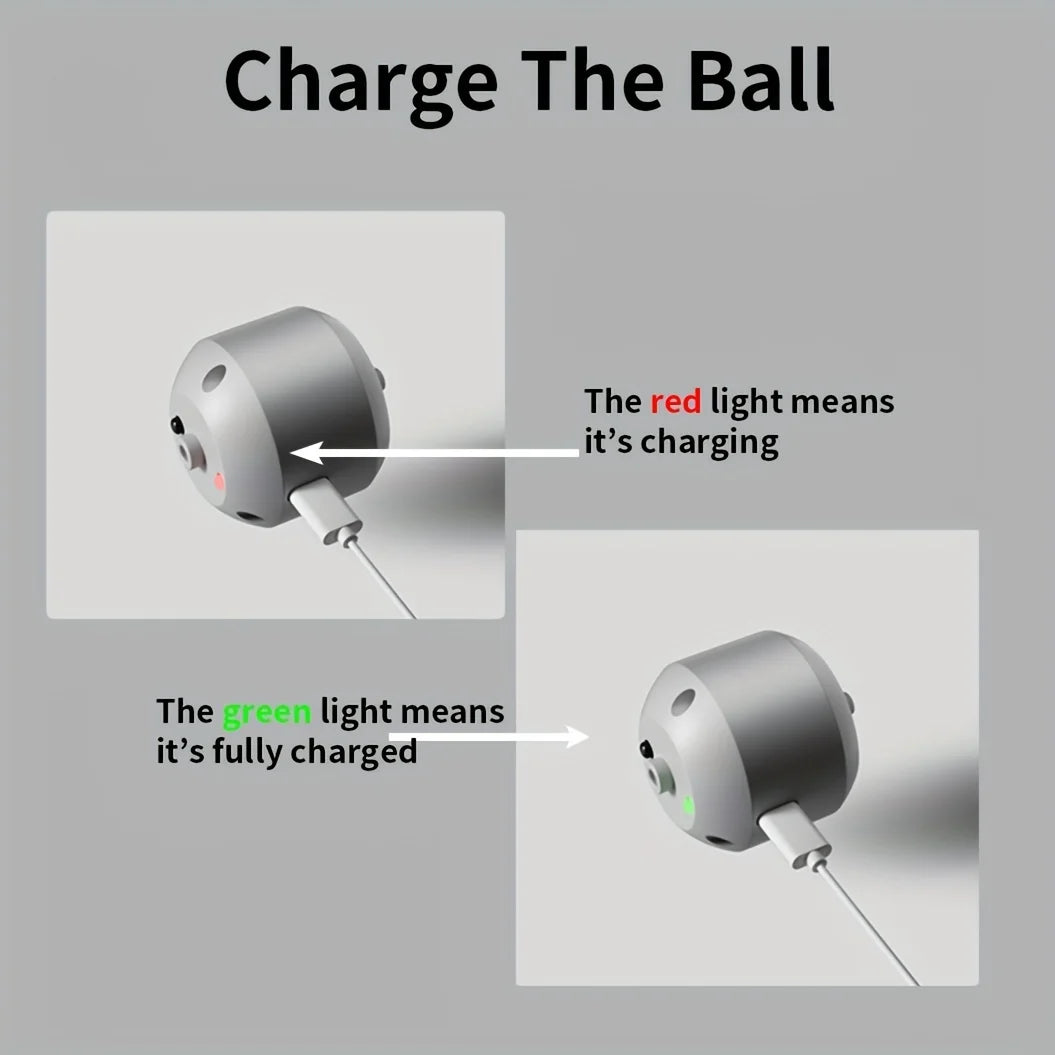 interactive dog and cat toy ball
