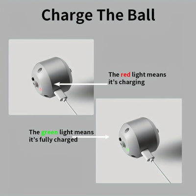 interactive dog and cat toy ball