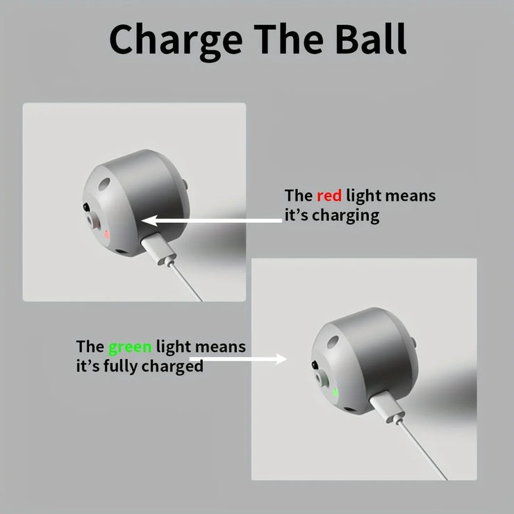 interactive dog and cat toy ball