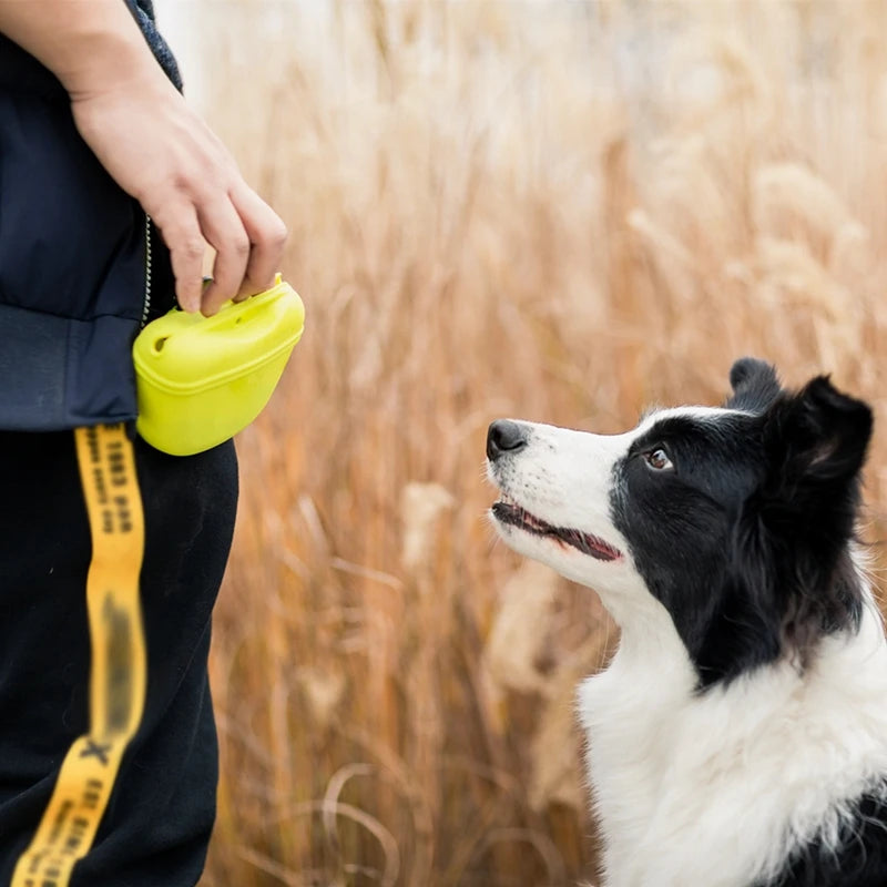 Dog Treat Pouch