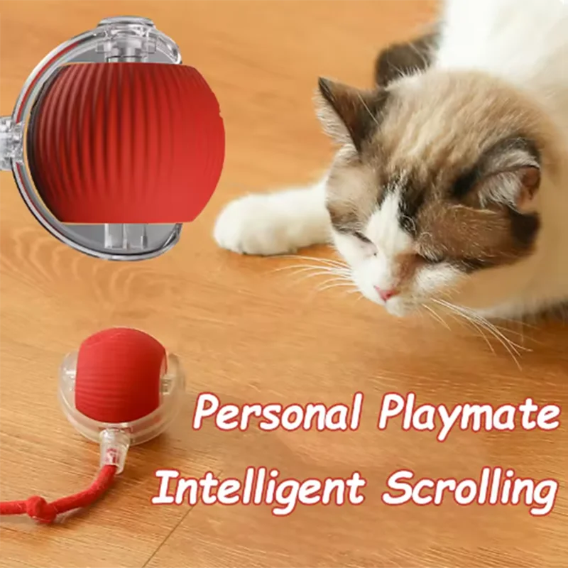 usb cat toy for indoor play