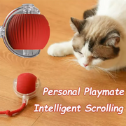 usb cat toy for indoor play