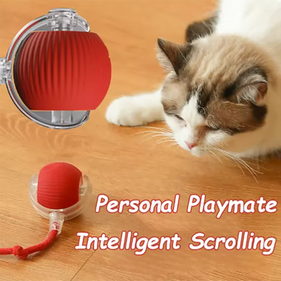 usb cat toy for indoor play