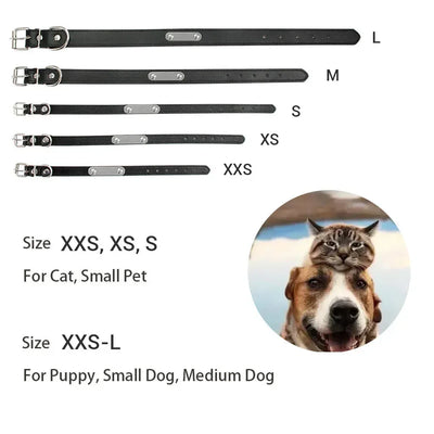 personalized pet safety collar