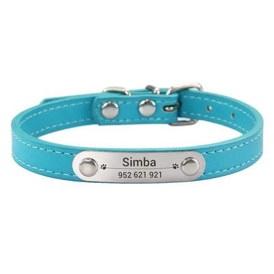 Turquoise dog collar with a nameplate 