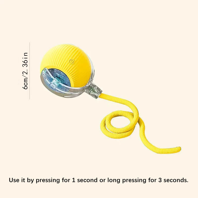 Electronic Interactive Dog Ball