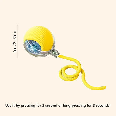 Electronic Interactive Dog Ball