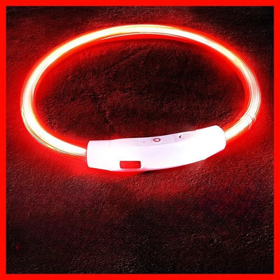 LED Glow Dog Collar