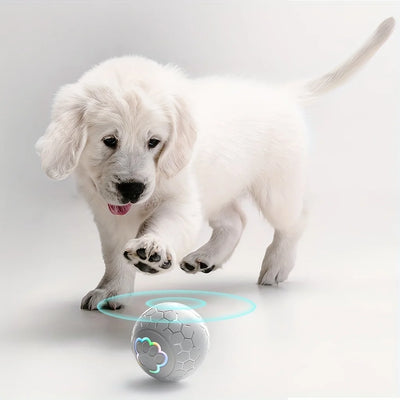 smart led pet ball glowing