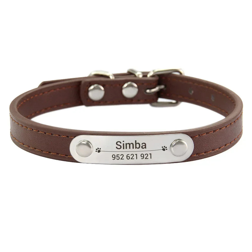 Brown leather dog collar with a silver nameplate