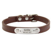 Brown leather dog collar with a silver nameplate