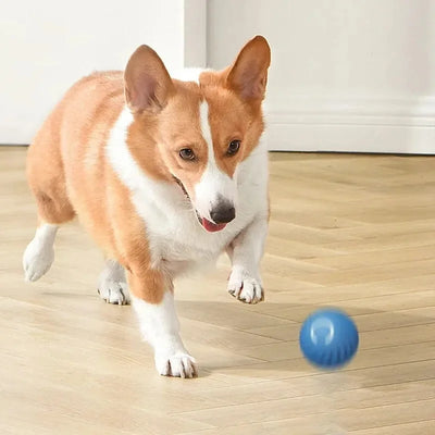 Electronic Interactive Dog Ball
