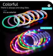 rechargeable led dog collar glowing at night