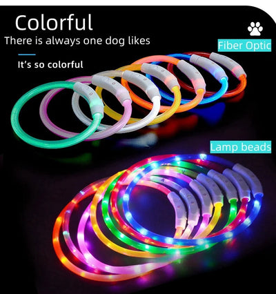 rechargeable led dog collar glowing at night
