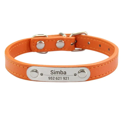 engraved ID pet collar
