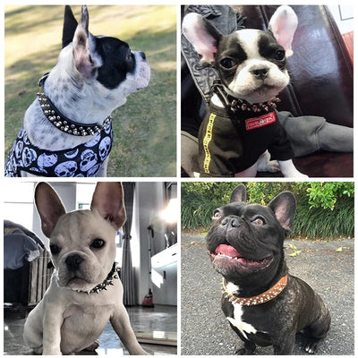 Adjustable PU Leather Spiked Dog Collar