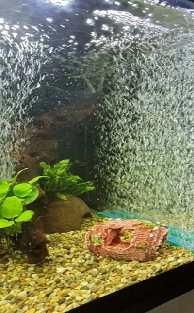 Aquarium Air Stone Bar