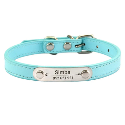 Light blue dog collar with a nameplate 
