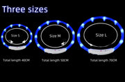 glow dog collar in multiple colors
