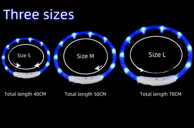 glow dog collar in multiple colors