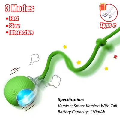 usb cat toy for indoor play