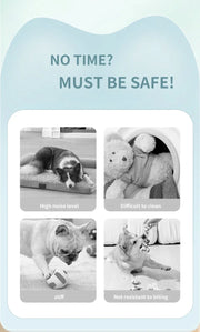 auto-moving pet ball