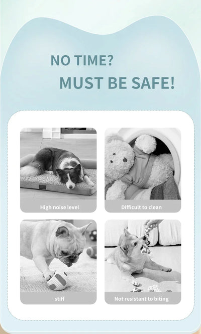 auto-moving pet ball