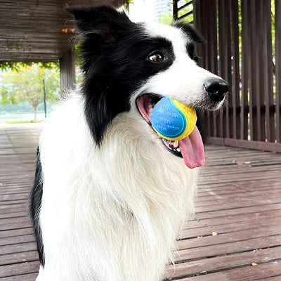 squeaky rubber dog ball
