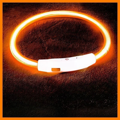 LED Glow Dog Collar