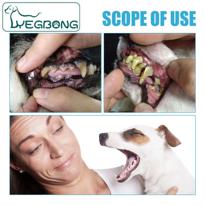 toothpaste for pet oral hygiene