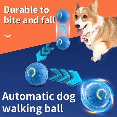 self-rolling dog ball for playtime