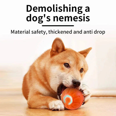 self-rolling dog ball for playtime