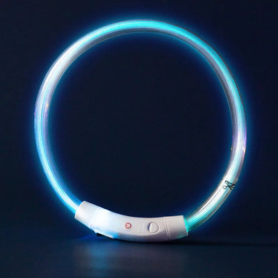 LED Glow Dog Collar