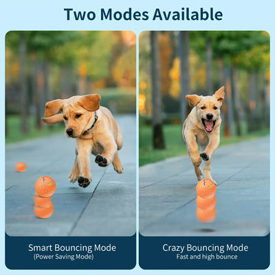 motion-activated pet light-up ball