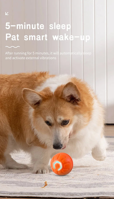 smart motion dog toy ball