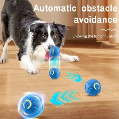 interactive electronic dog toy ball